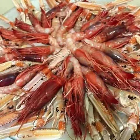 Nuovi Dai Pescatori *