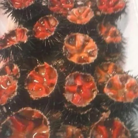 Appartamento Nuovi Dai Pescatori *